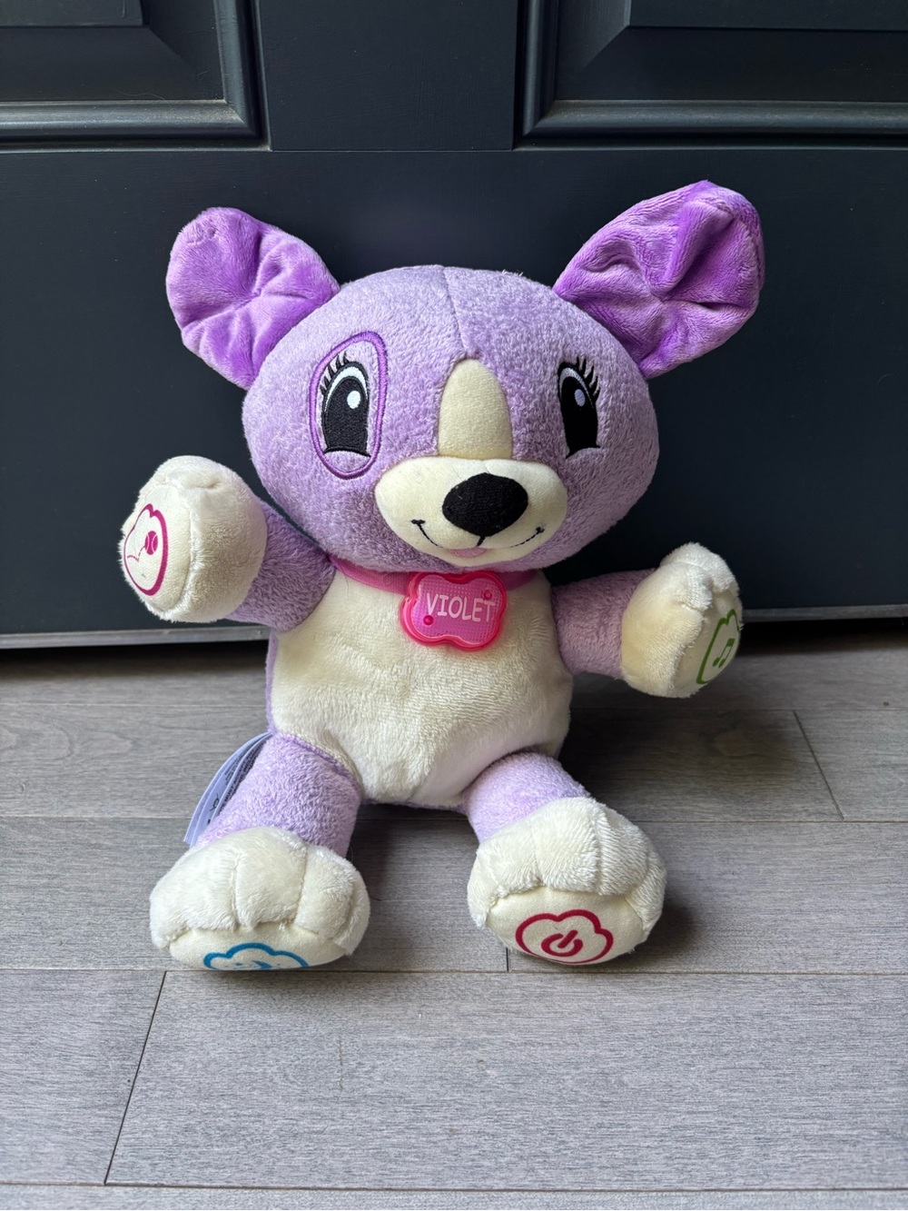 LeapFrog MY PAL VIOLET Purple Plush Bear Dog Talks Music Interactive Music Toy